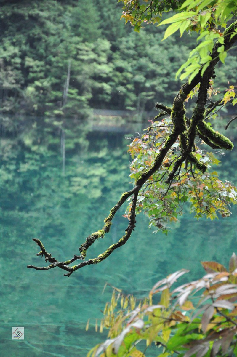 dsc_0070_副本.jpg