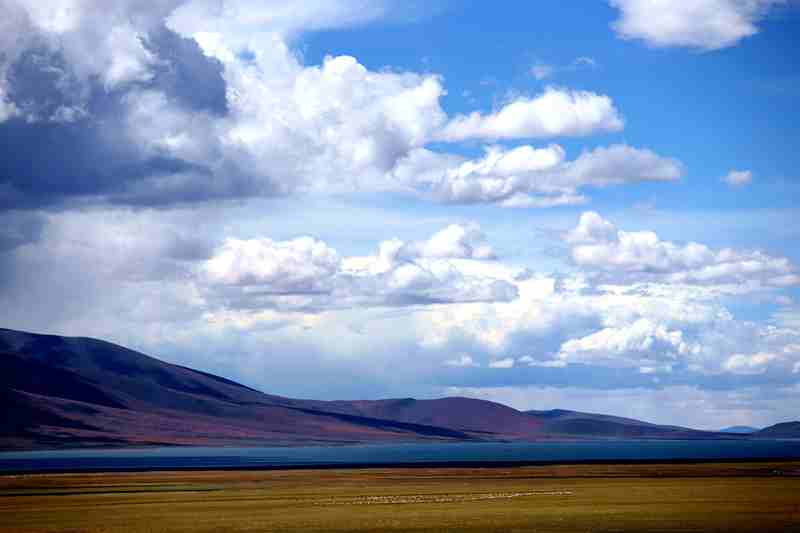 bw3p3970_.jpg