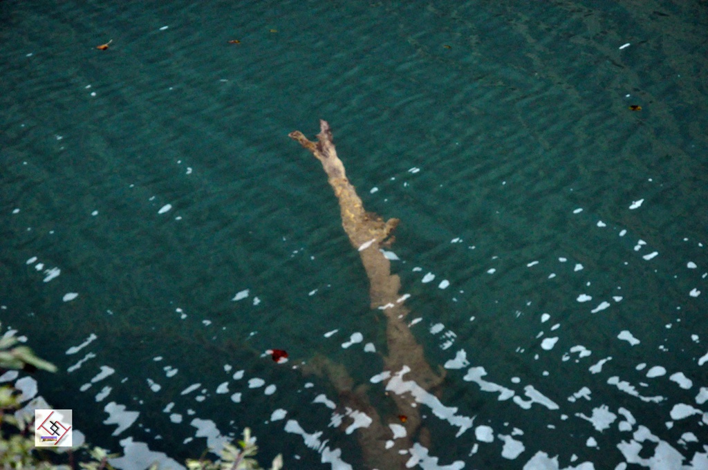dsc_0534.jpg