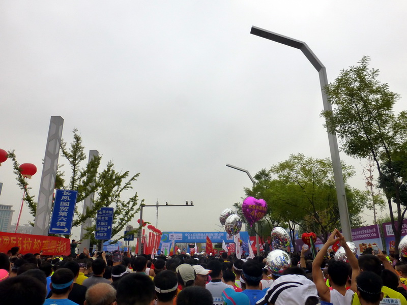 p1260137.jpg