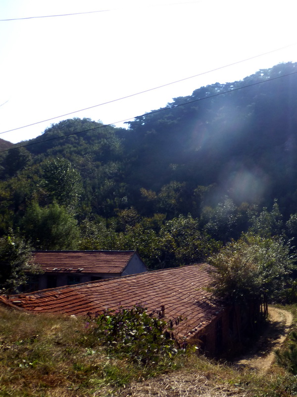 p1260844.jpg