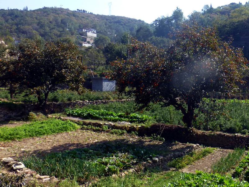 p1260851.jpg