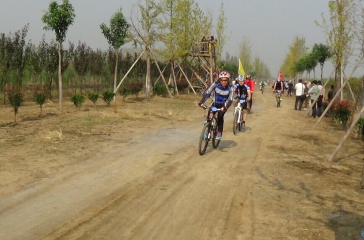 093952kvo9pppgg9bgiapi.jpg.thumb.jpg