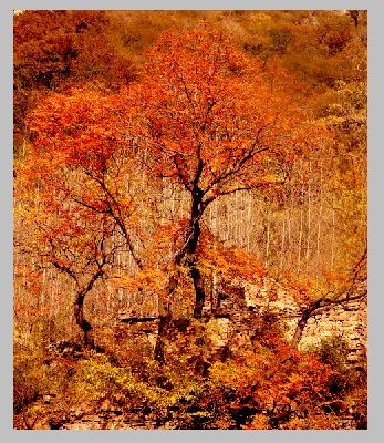qqͼƬ20141101235427.jpg