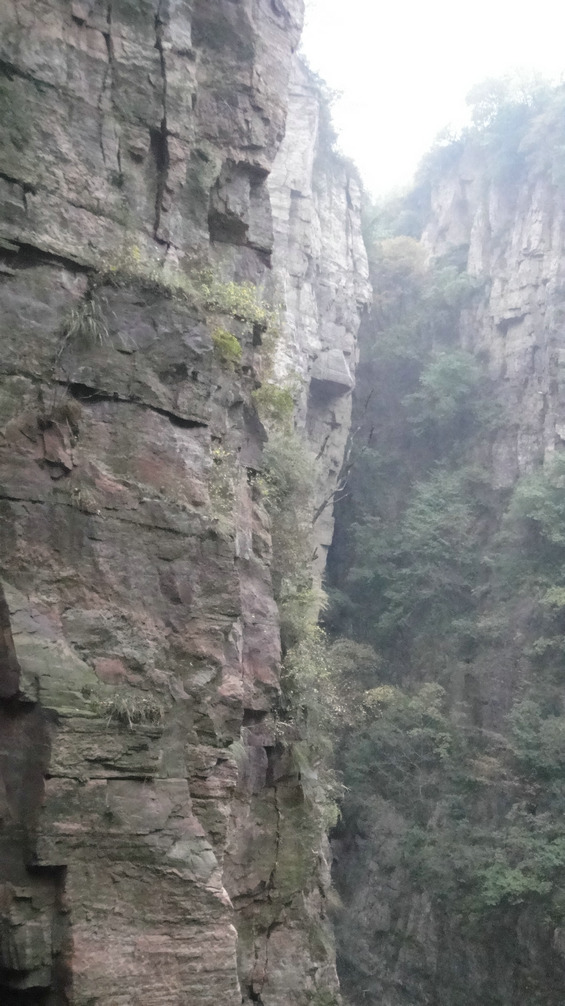dsc09092.jpg