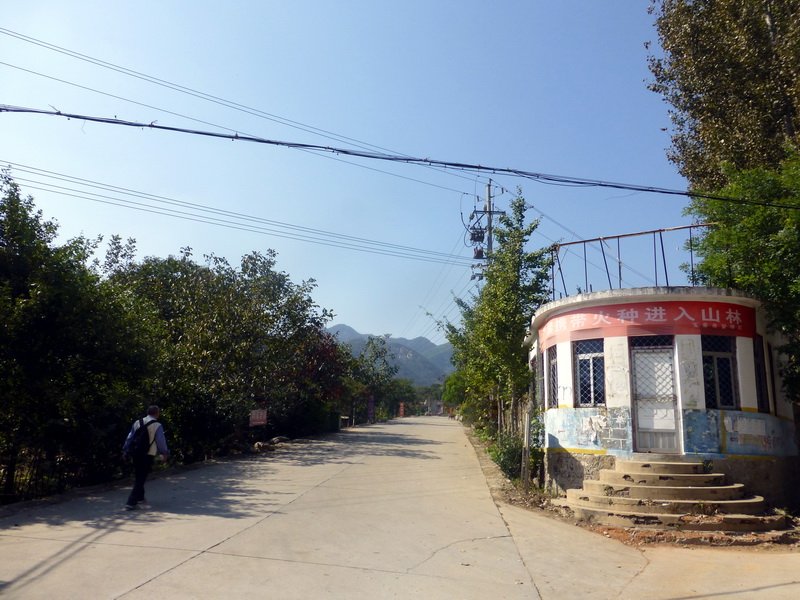 p1260887.jpg