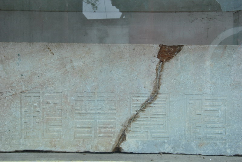 dsc_6893_调整大小.jpg