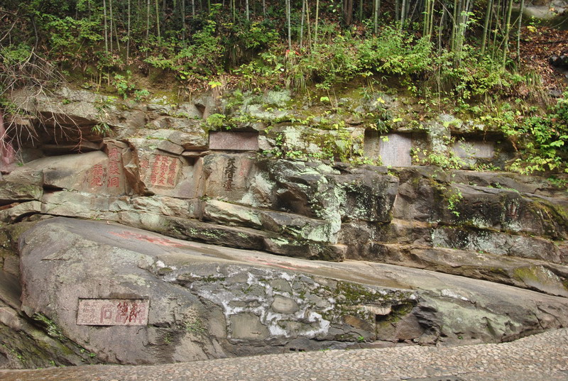 dsc_6900_调整大小.jpg