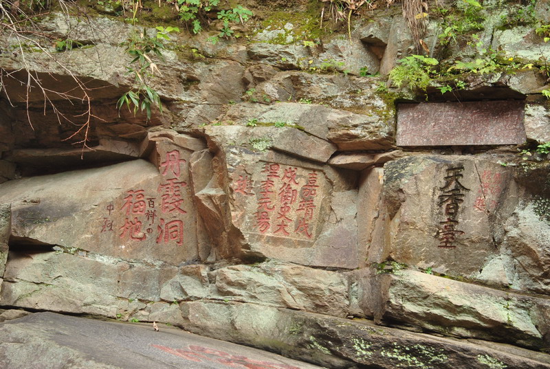 dsc_6901_调整大小.jpg