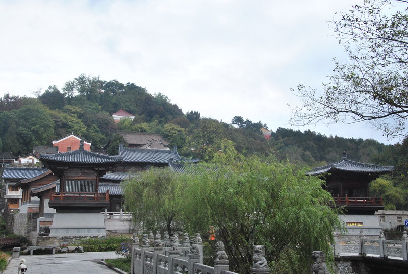dsc_6905_调整大小.jpg