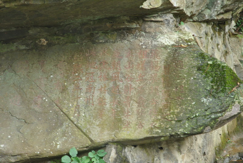 dsc_6909_调整大小.jpg