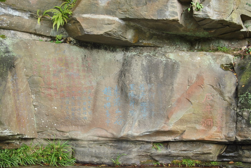 dsc_6912_调整大小.jpg