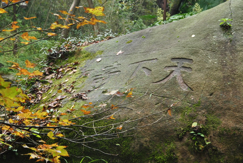 dsc_6918_调整大小.jpg