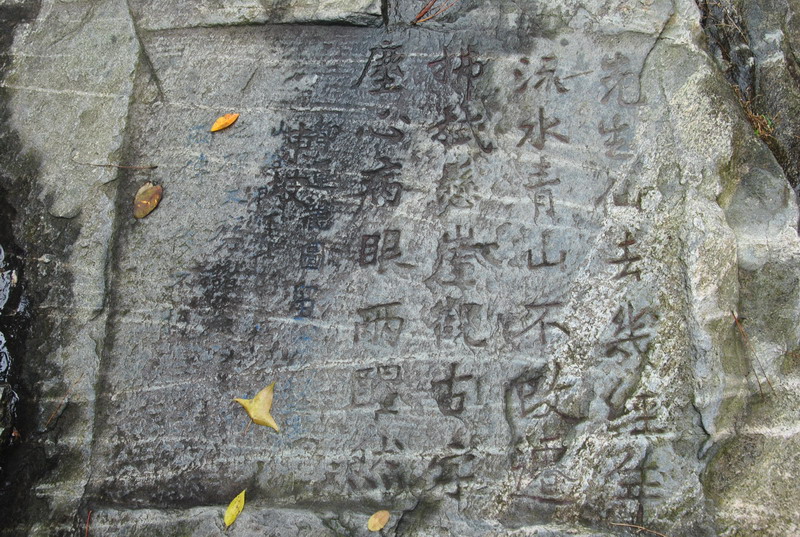 dsc_6924_调整大小.jpg