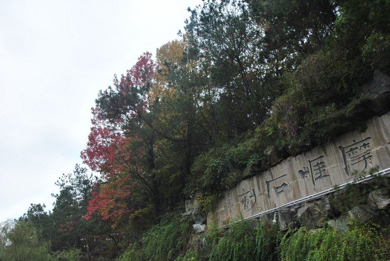 dsc_6947_С.jpg