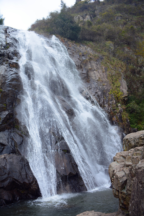 dsc_6073__.jpg