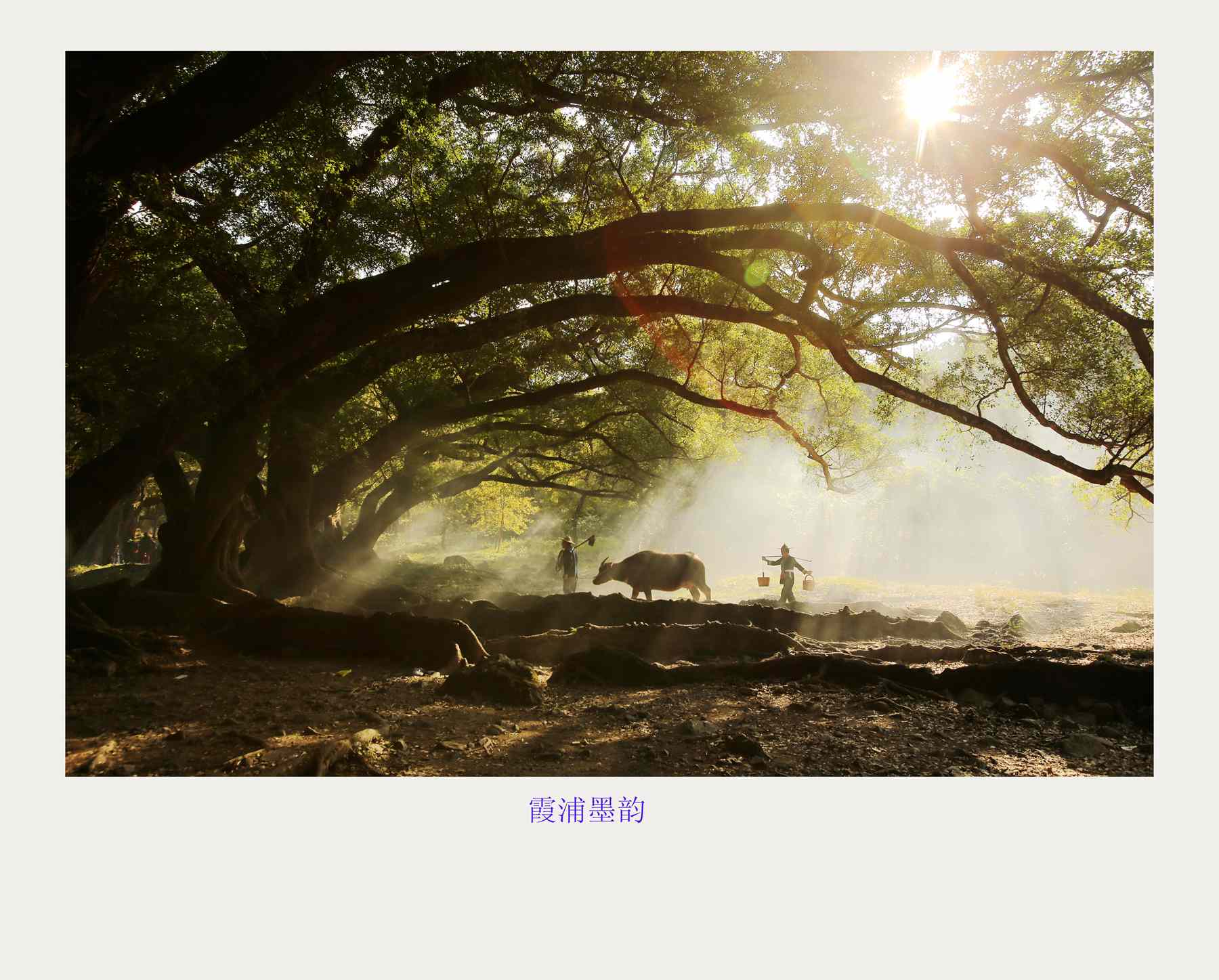 bw3p1235_副本.jpg