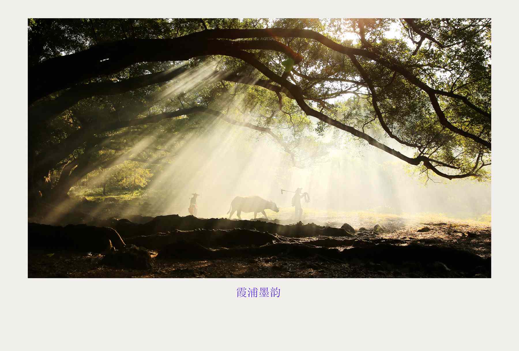 bw3p1240_副本.jpg