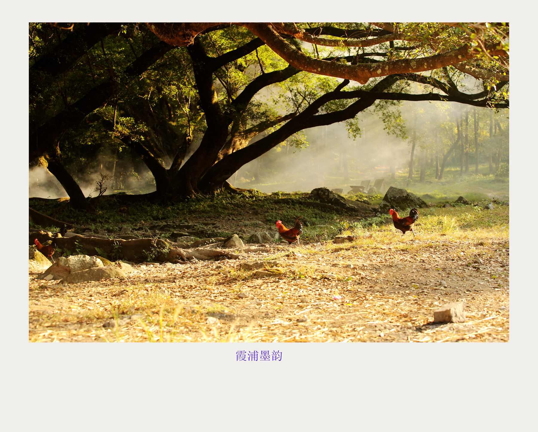 bw3p1037_副本.jpg