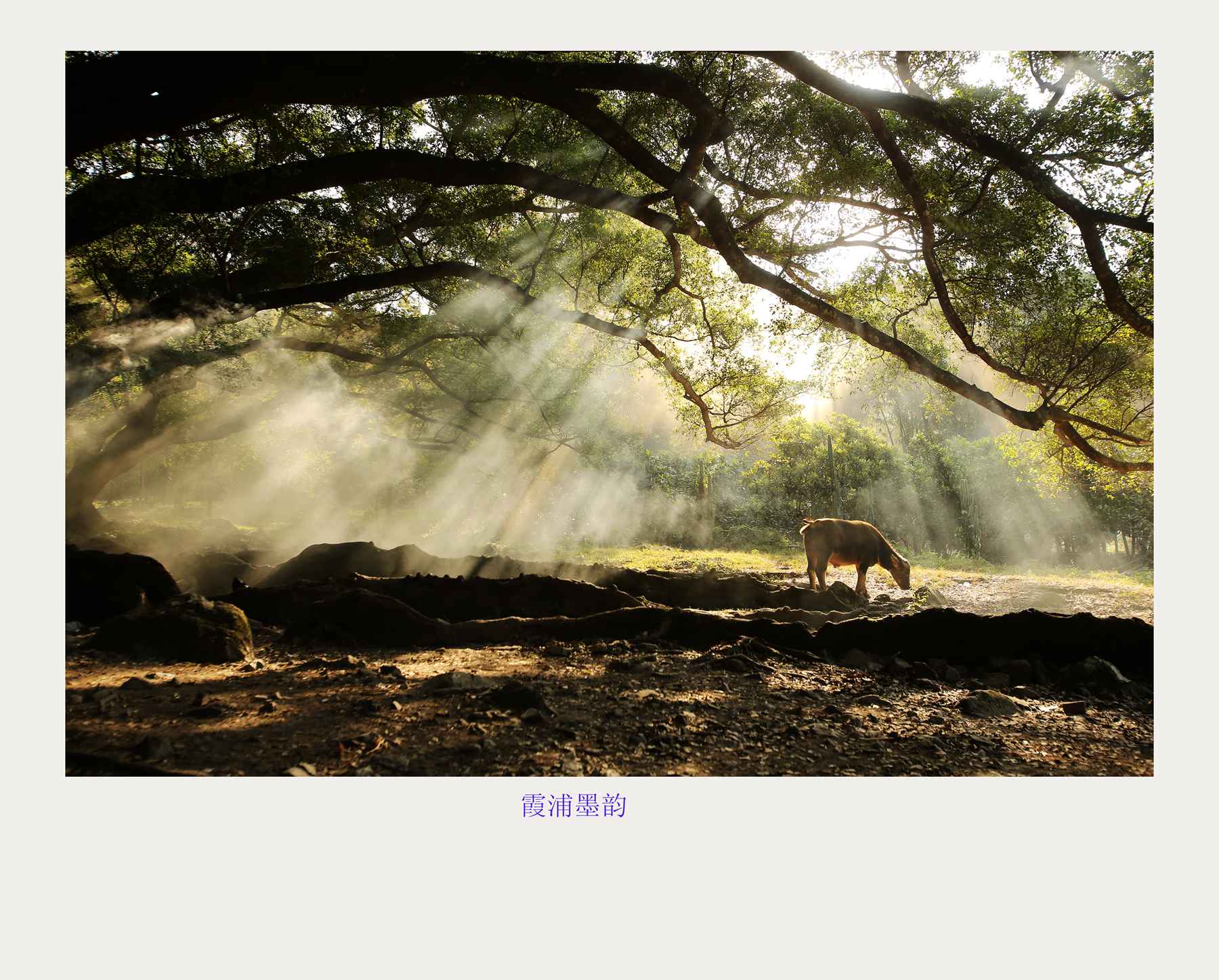 bw3p1147_副本.jpg