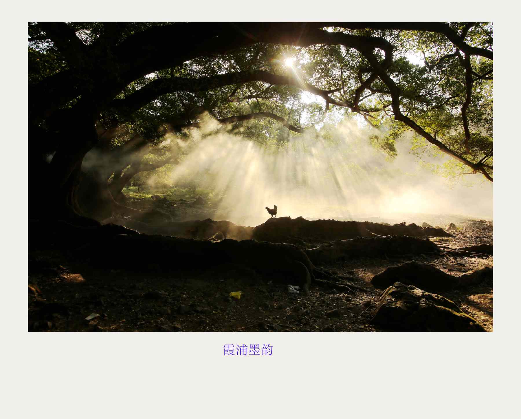 bw3p1160_副本.jpg