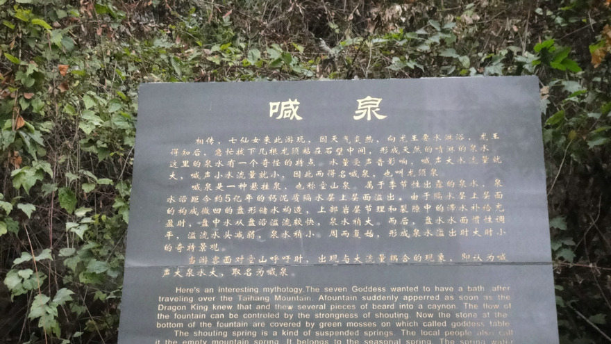 dsc09267.jpg