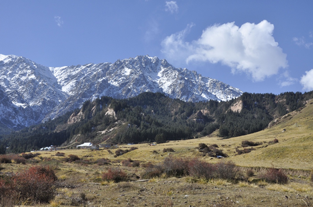 _dsc0354.jpg
