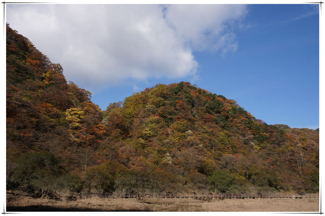 dsc01171_副本.jpg