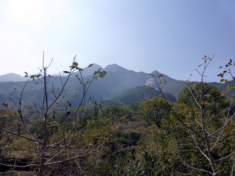 p1260915.jpg