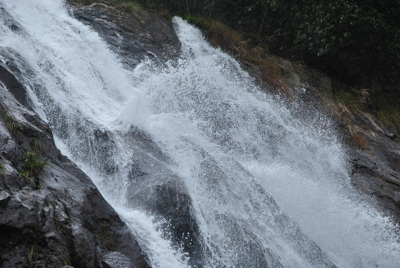 dsc_6973_С.jpg