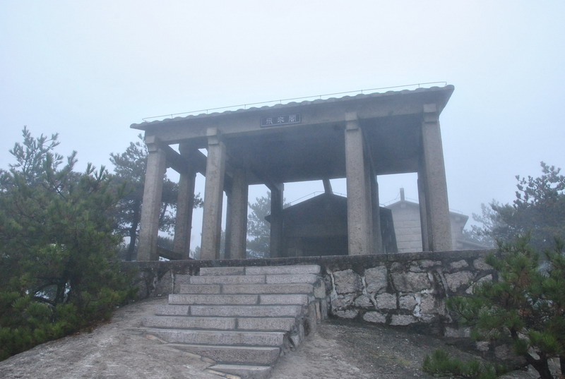 dsc_7009_С.jpg
