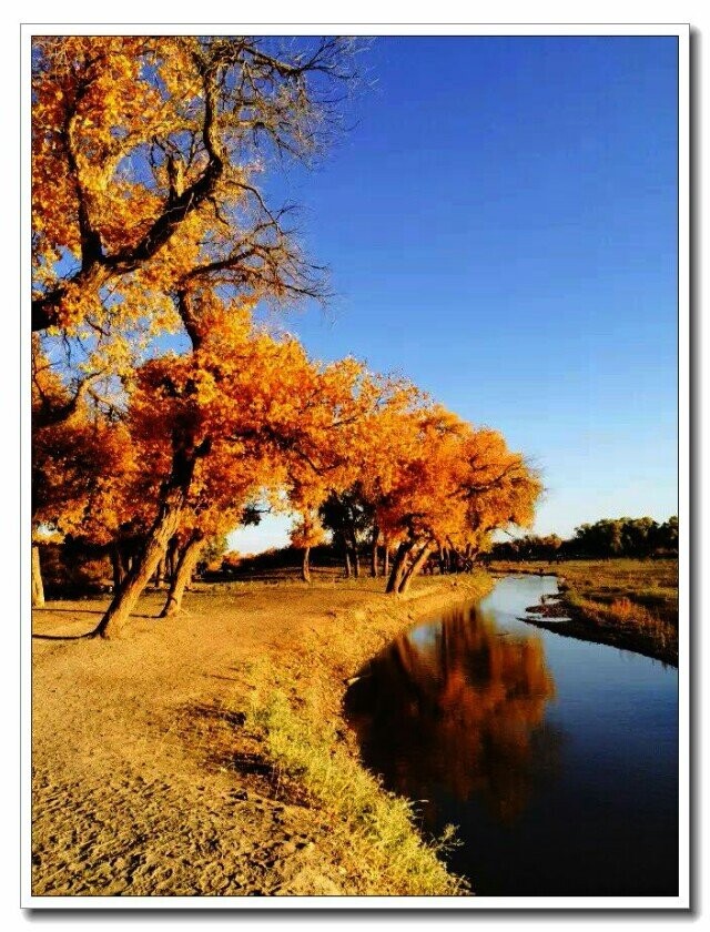 qqͼƬ20141115205803.jpg