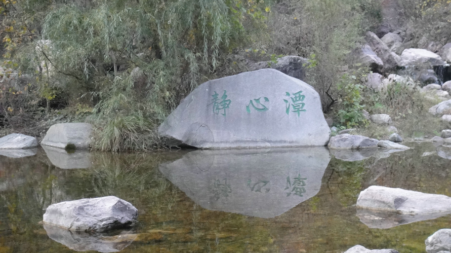 dsc08616.jpg