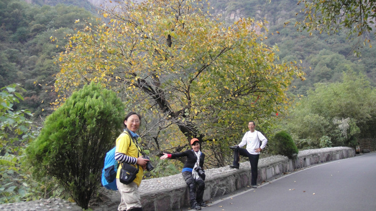 dsc08626.jpg