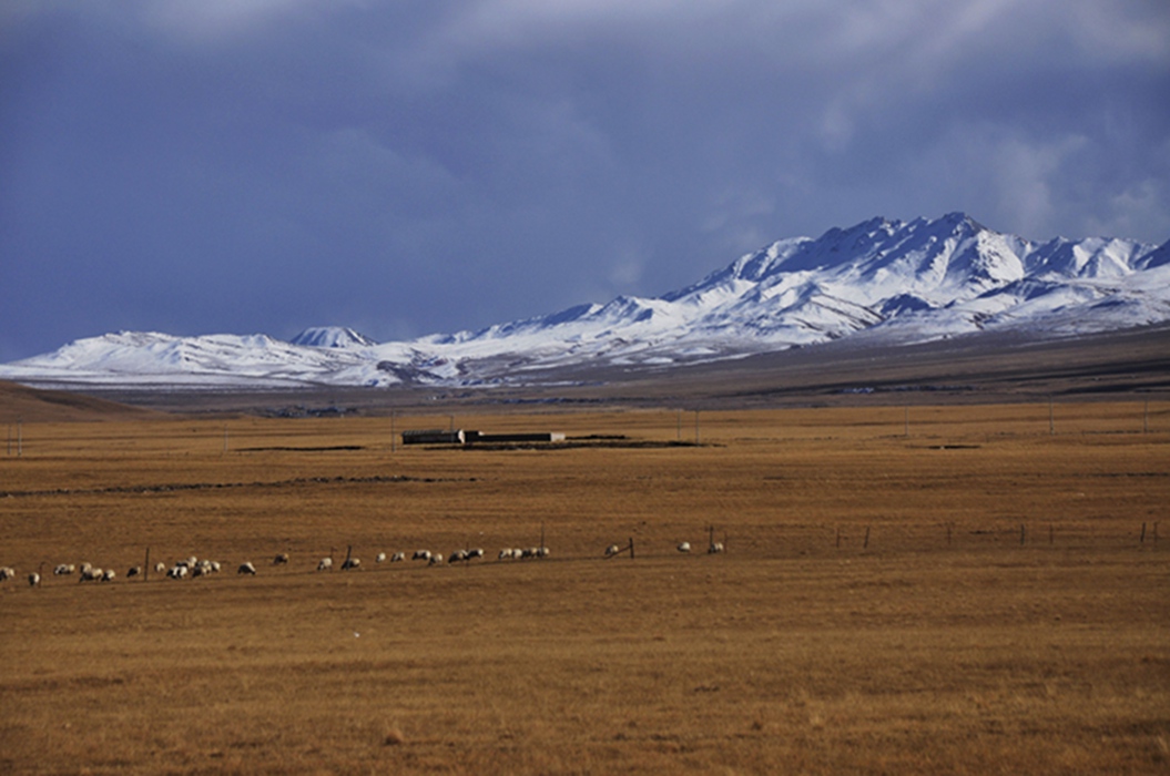 _dsc0415.jpg