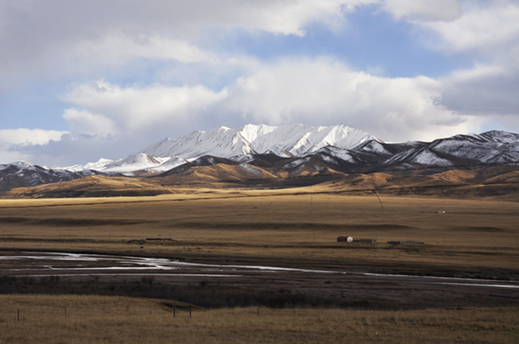 _dsc0518.jpg