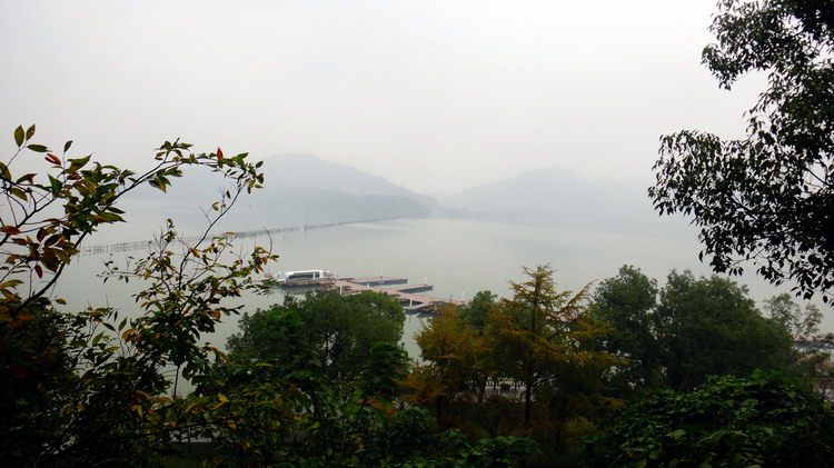 Ǯ005.jpg