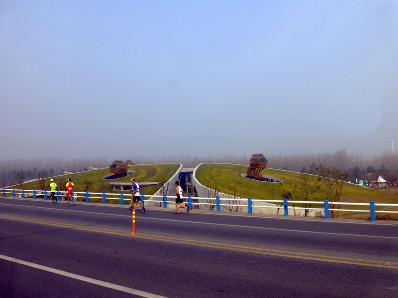 p1280881.jpg