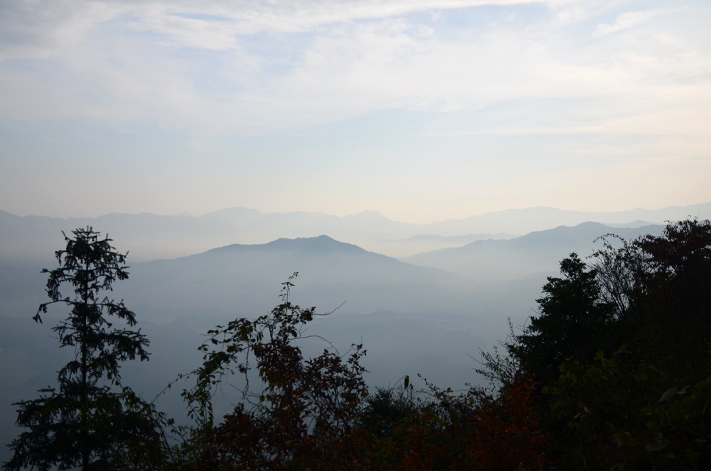 dsc_0519.jpg