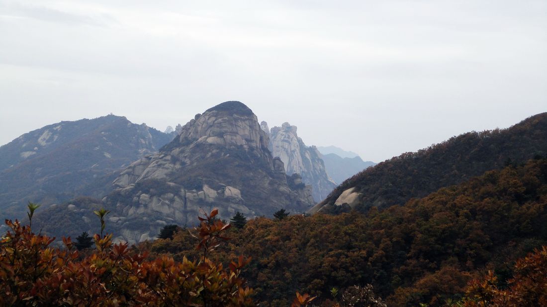 neo_img_dsc09548.jpg