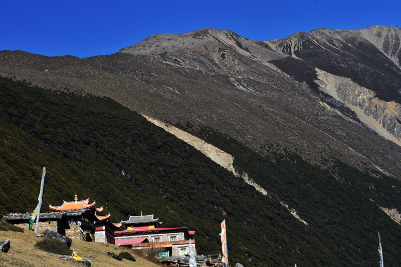 1sc_8860.jpg