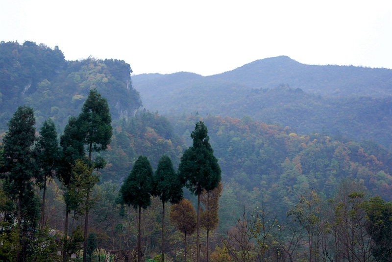 sam_5096_副本.jpg