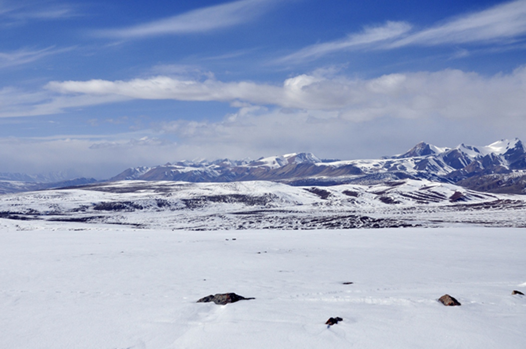 _dsc0765.jpg