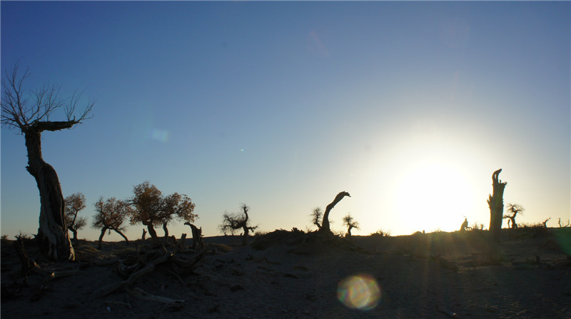 dsc03544_.jpg