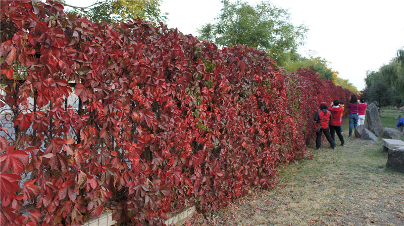 dsc03231_.jpg