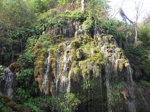 dscn2544_.jpg