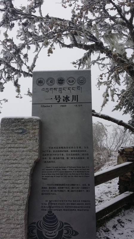 20141112_125611.jpg