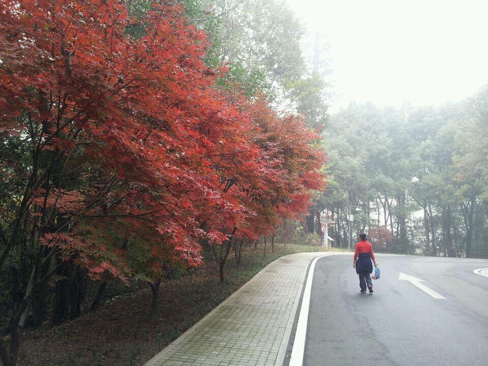 qqͼƬ20141123160816.jpg