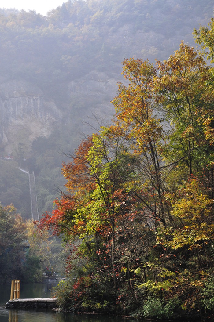 _dsc0516.jpg