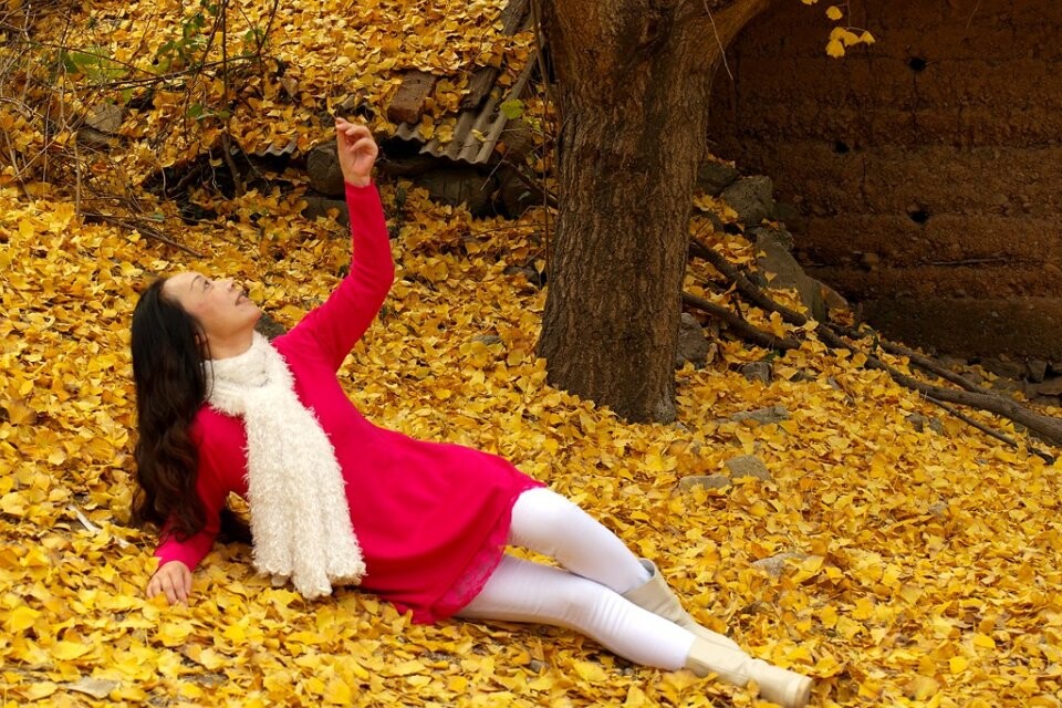 qqͼƬ20141123211543.jpg